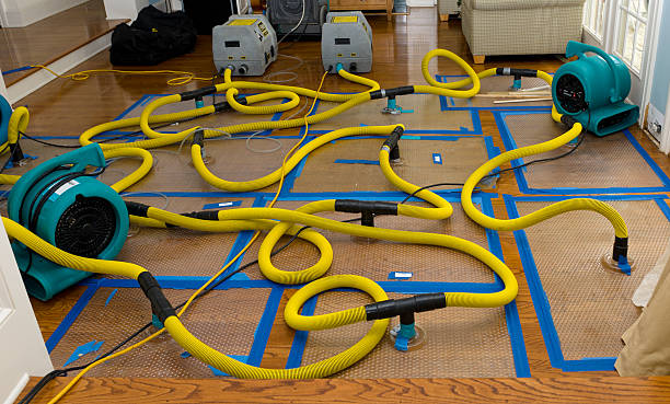 Professional Water Damage Repair technician working in Raleigh, MS