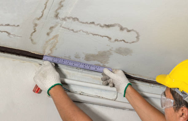 Affordable Water Damage Repair solutions in Raleigh, MS